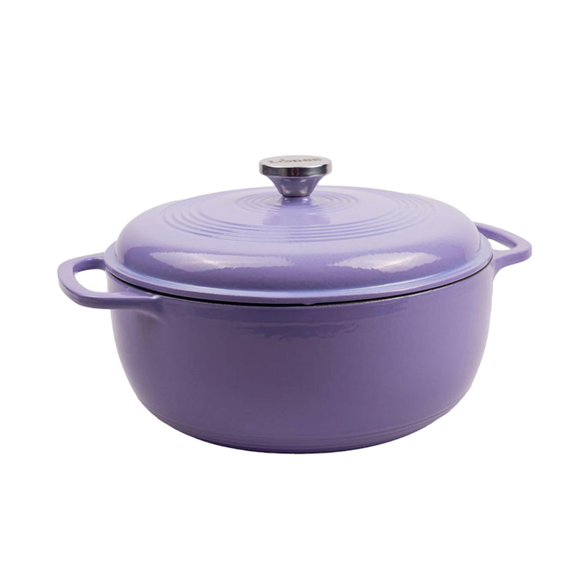 Enamel Cast Iron Dutch Oven With Moisture-Seal Lid