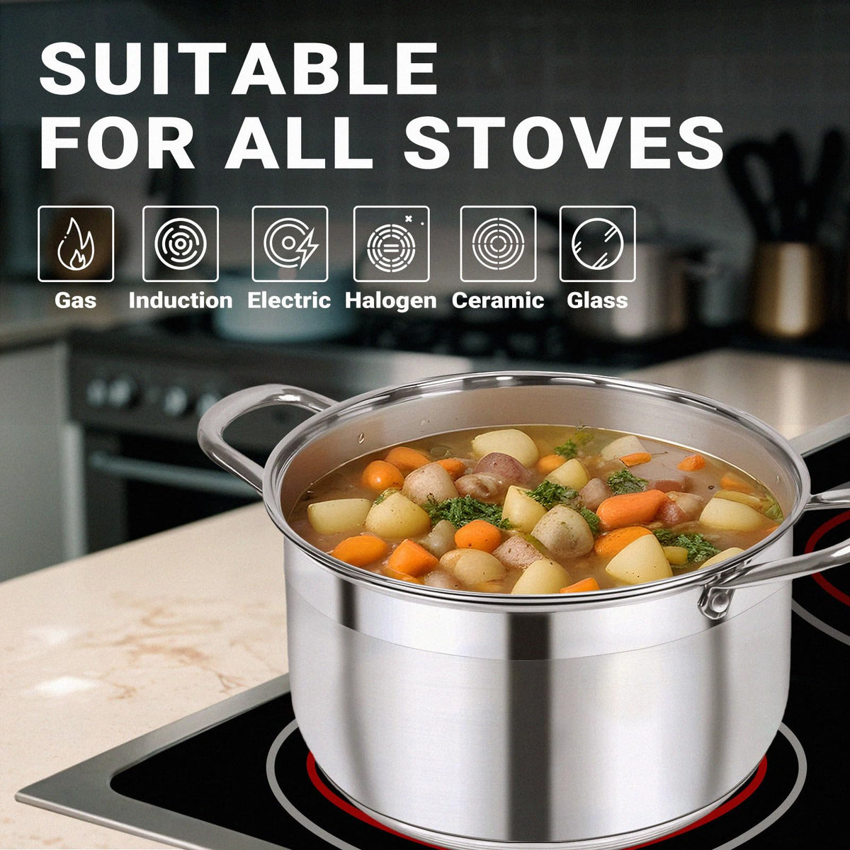 Stainless Steel Stock Pot With Clear View Lid