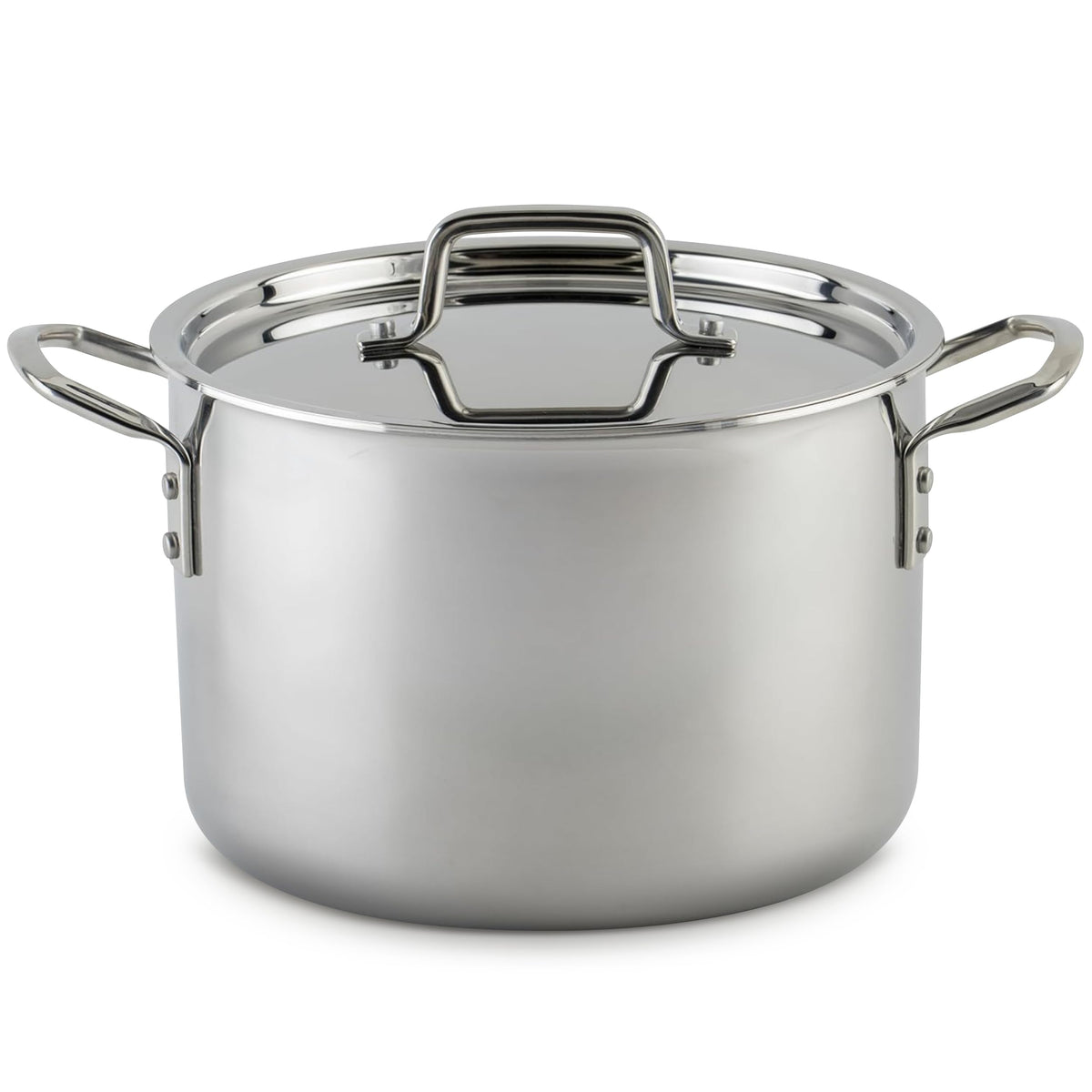Commercial Stockpot With Heavy-Duty Construction