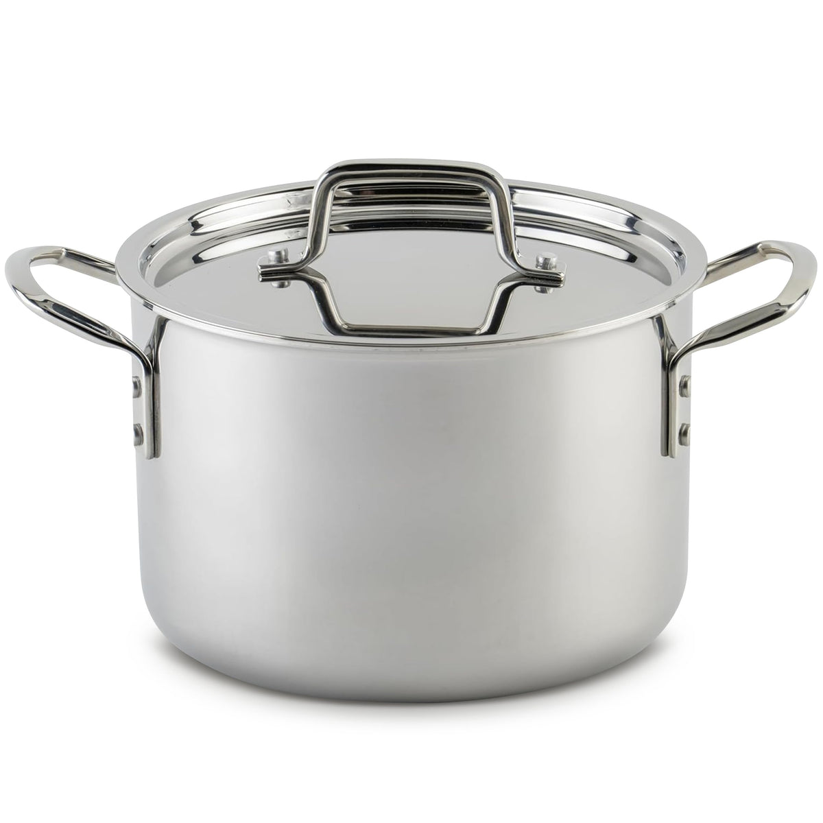 Commercial Stockpot With Heavy-Duty Construction